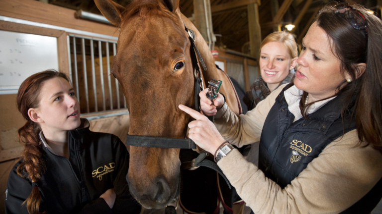 Equestrian Studies Faculty | SCAD